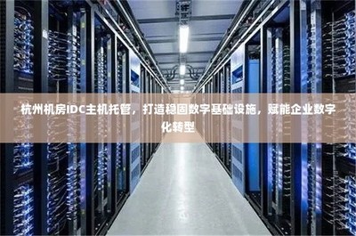 杭州IDC主机托管 稳固数字基础设施，引领企业数字化转型的坚实基石